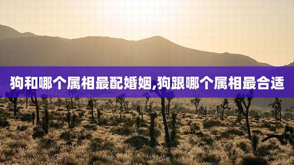 狗和哪个属相最配婚姻,狗跟哪个属相最合适