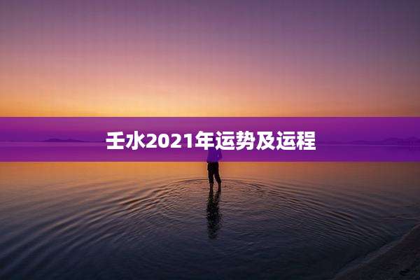 壬水2021年运势及运程