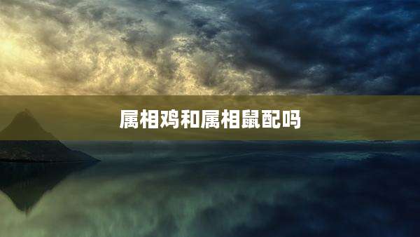 属相鸡和属相鼠配吗