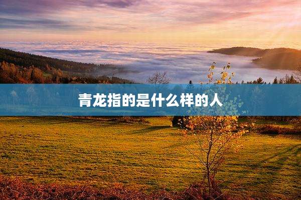 青龙指的是什么样的人