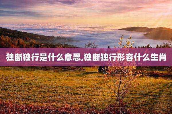 独断独行是什么意思,独断独行形容什么生肖
