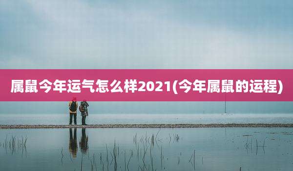 属鼠今年运气怎么样2021(今年属鼠的运程)