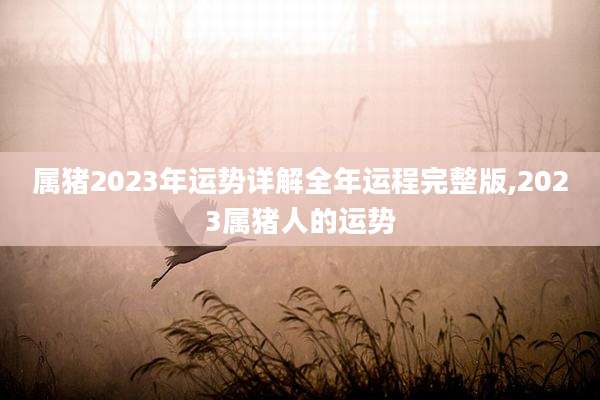 属猪2023年运势详解全年运程完整版,2023属猪人的运势