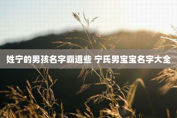 姓宁的男孩名字霸道些 宁氏男宝宝名字大全