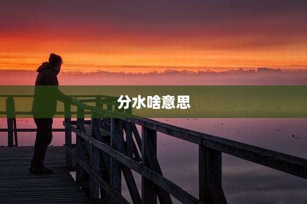 分水啥意思