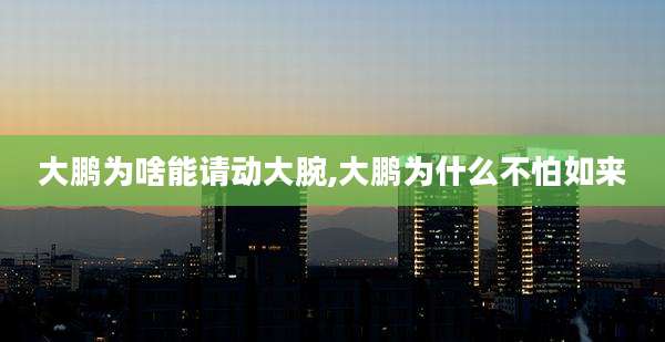 大鹏为啥能请动大腕,大鹏为什么不怕如来