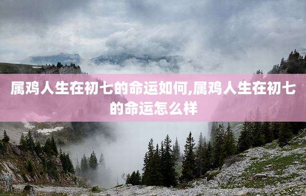 属鸡人生在初七的命运如何,属鸡人生在初七的命运怎么样