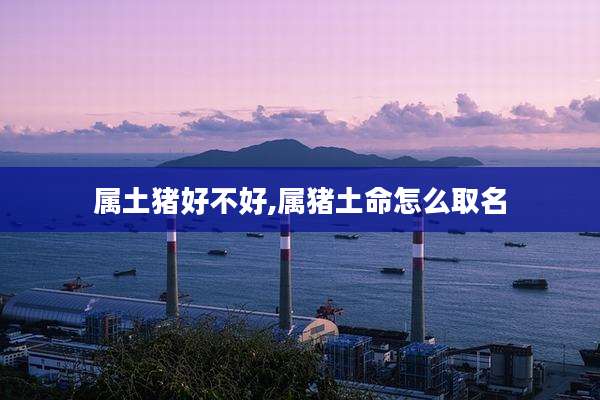 属土猪好不好,属猪土命怎么取名