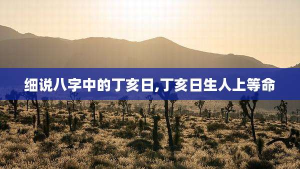 细说八字中的丁亥日,丁亥日生人上等命