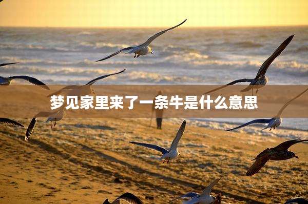 梦见家里来了一条牛是什么意思