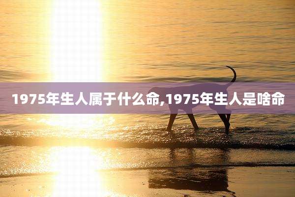 1975年生人属于什么命,1975年生人是啥命