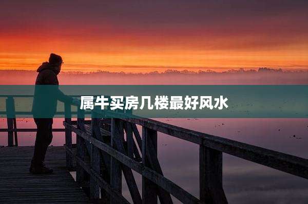 属牛买房几楼最好风水