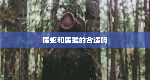 属蛇和属猴的合适吗
