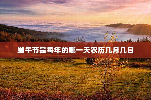 端午节是每年的哪一天农历几月几日