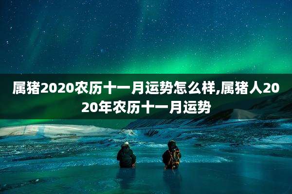 属猪2020农历十一月运势怎么样,属猪人2020年农历十一月运势
