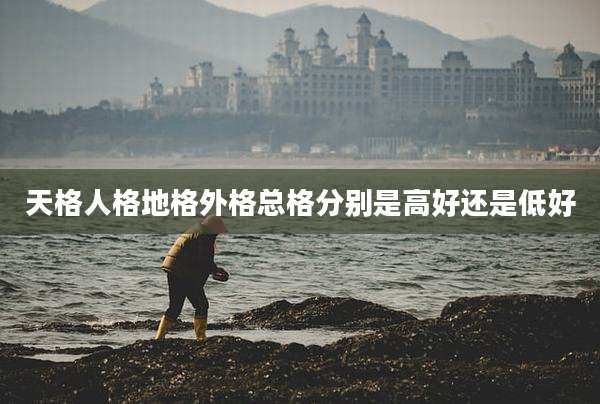 天格人格地格外格总格分别是高好还是低好