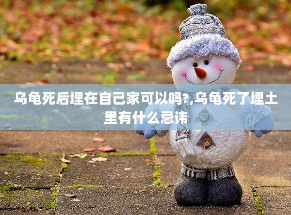 乌龟死后埋在自己家可以吗?,乌龟死了埋土里有什么忌讳