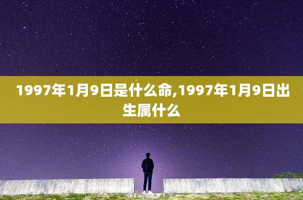 1997年1月9日是什么命,1997年1月9日出生属什么