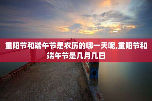 重阳节和端午节是农历的哪一天呢,重阳节和端午节是几月几日