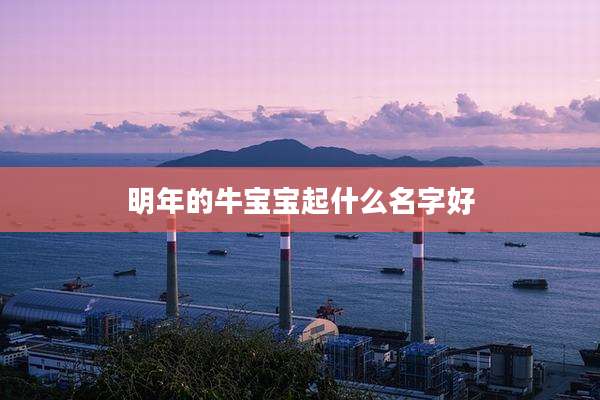 明年的牛宝宝起什么名字好