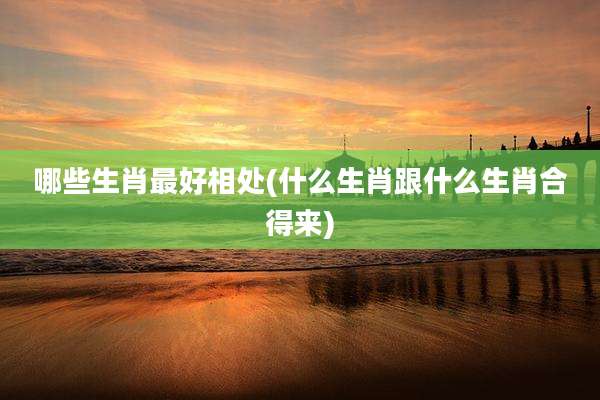 哪些生肖最好相处(什么生肖跟什么生肖合得来)