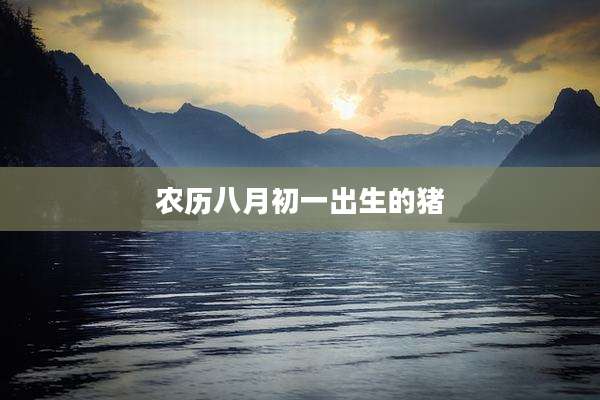 农历八月初一出生的猪