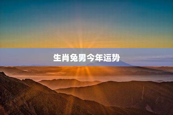 生肖兔男今年运势