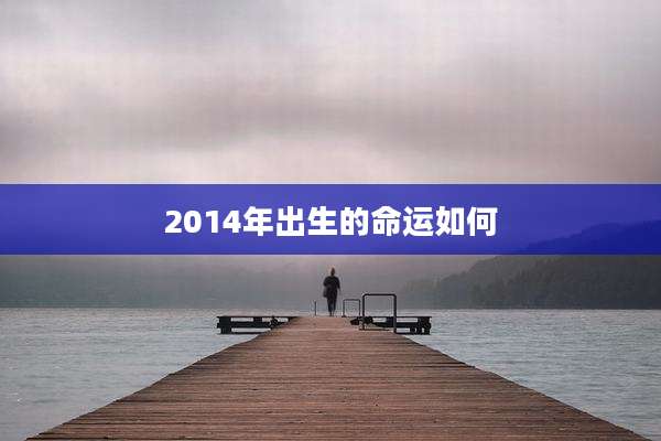 2014年出生的命运如何