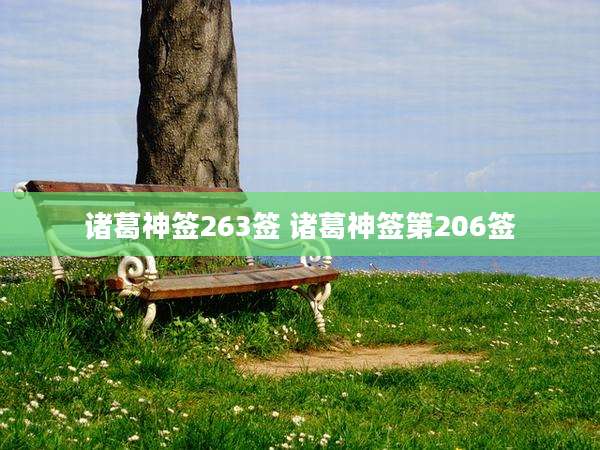 诸葛神签263签 诸葛神签第206签