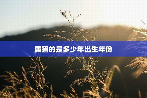 属猪的是多少年出生年份