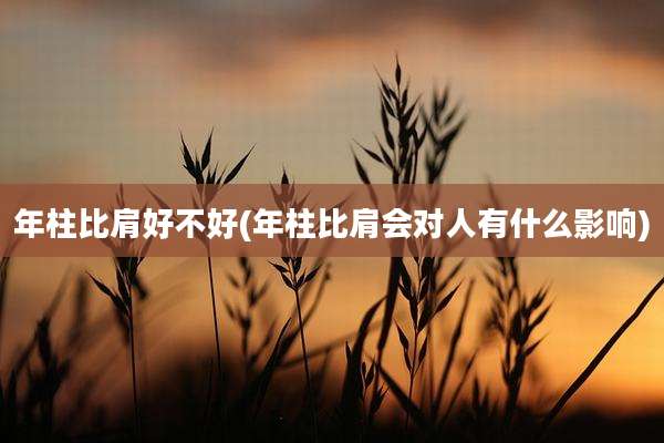 年柱比肩好不好(年柱比肩会对人有什么影响)