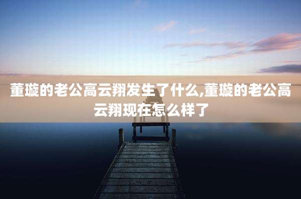 董璇的老公高云翔发生了什么,董璇的老公高云翔现在怎么样了