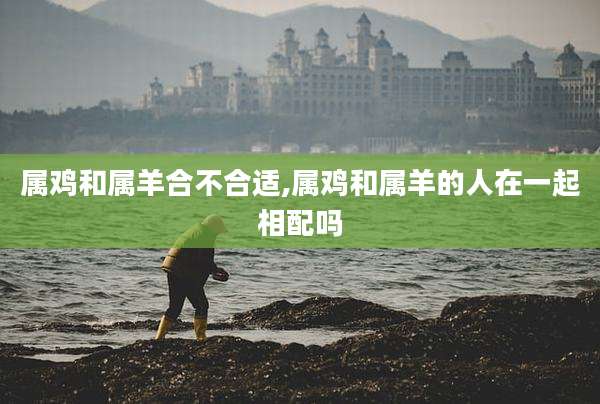 属鸡和属羊合不合适,属鸡和属羊的人在一起相配吗
