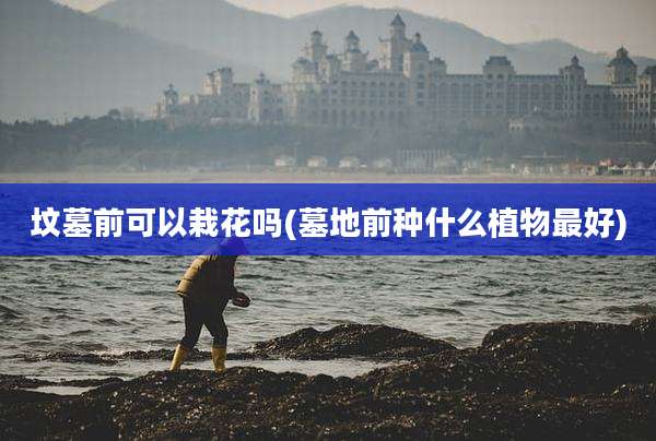 坟墓前可以栽花吗(墓地前种什么植物最好)