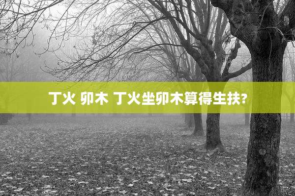 丁火 卯木 丁火坐卯木算得生扶?