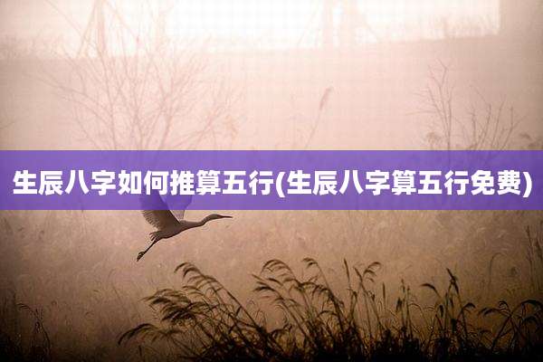 生辰八字如何推算五行(生辰八字算五行免费)