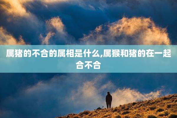 属猪的不合的属相是什么,属猴和猪的在一起合不合