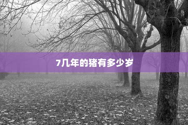 7几年的猪有多少岁