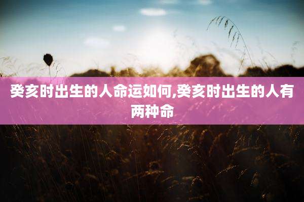 癸亥时出生的人命运如何,癸亥时出生的人有两种命