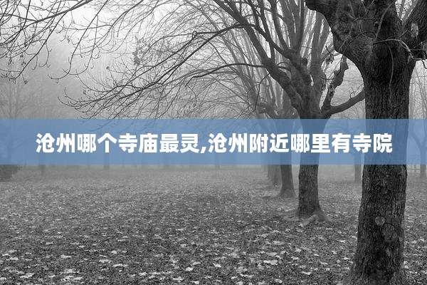 沧州哪个寺庙最灵,沧州附近哪里有寺院
