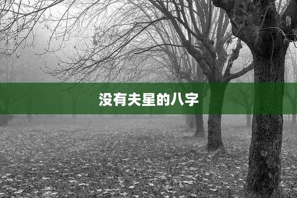 没有夫星的八字