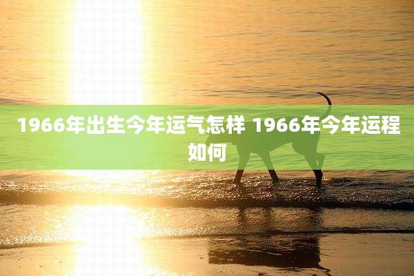 1966年出生今年运气怎样 1966年今年运程如何