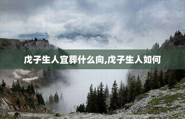 戊子生人宜葬什么向,戊子生人如何