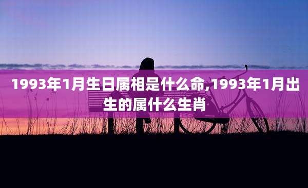 1993年1月生日属相是什么命,1993年1月出生的属什么生肖