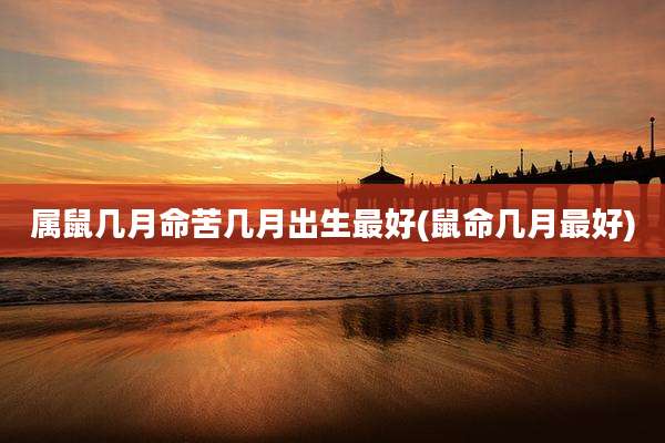 属鼠几月命苦几月出生最好(鼠命几月最好)