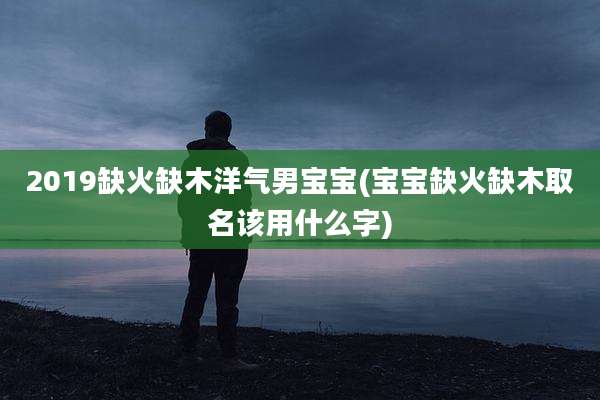 2019缺火缺木洋气男宝宝(宝宝缺火缺木取名该用什么字)