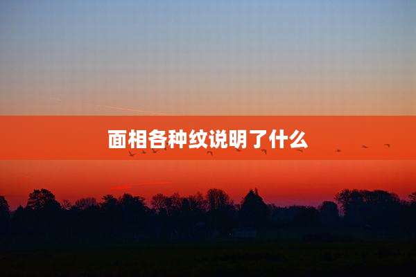 面相各种纹说明了什么