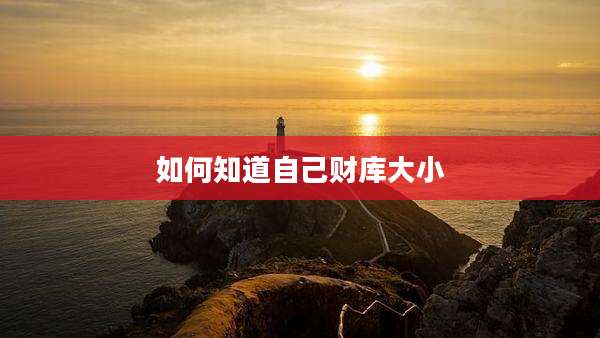 如何知道自己财库大小