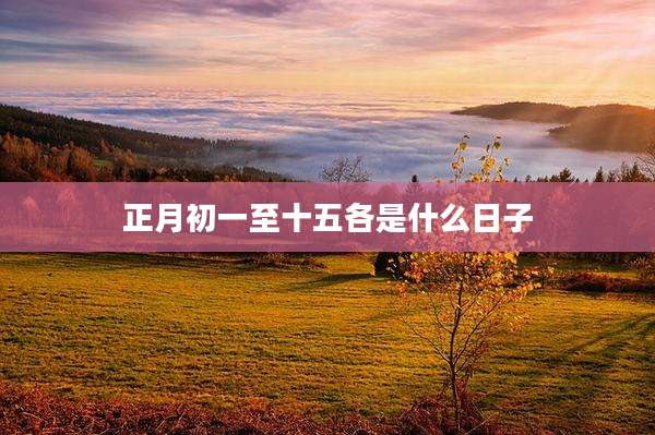 正月初一至十五各是什么日子
