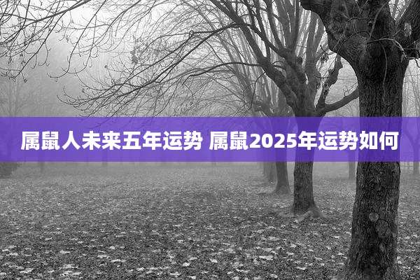 属鼠人未来五年运势 属鼠2025年运势如何